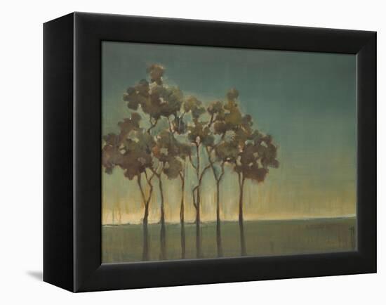 Arbor Grove-Terri Burris-Framed Stretched Canvas