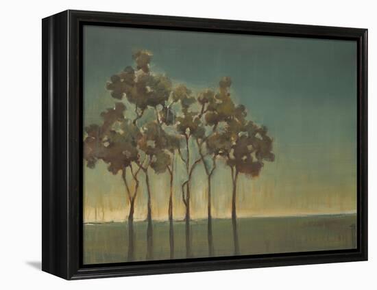 Arbor Grove-Terri Burris-Framed Stretched Canvas