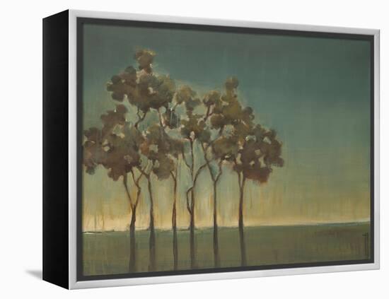 Arbor Grove-Terri Burris-Framed Stretched Canvas