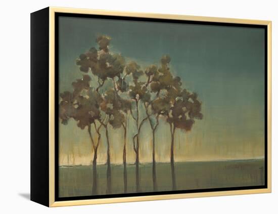 Arbor Grove-Terri Burris-Framed Stretched Canvas