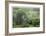 Arbor Mist-Stacy Bass-Framed Giclee Print