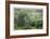 Arbor Mist-Stacy Bass-Framed Giclee Print