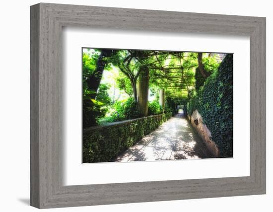 Arbor Path, Ravello, Italy-George Oze-Framed Photographic Print