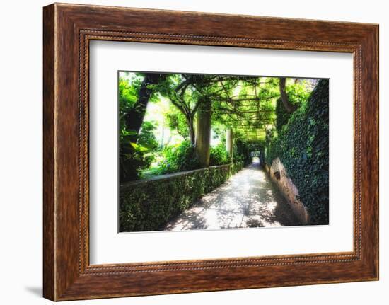 Arbor Path, Ravello, Italy-George Oze-Framed Photographic Print