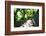 Arbor Path, Ravello, Italy-George Oze-Framed Photographic Print