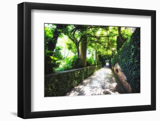 Arbor Path, Ravello, Italy-George Oze-Framed Photographic Print