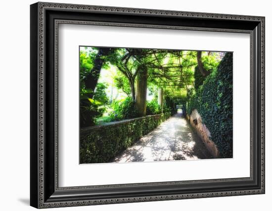 Arbor Path, Ravello, Italy-George Oze-Framed Photographic Print