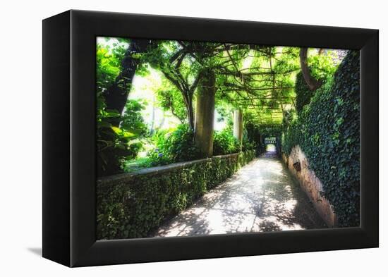 Arbor Path, Ravello, Italy-George Oze-Framed Premier Image Canvas