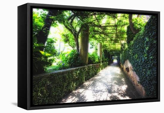 Arbor Path, Ravello, Italy-George Oze-Framed Premier Image Canvas