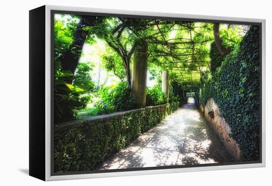 Arbor Path, Ravello, Italy-George Oze-Framed Premier Image Canvas