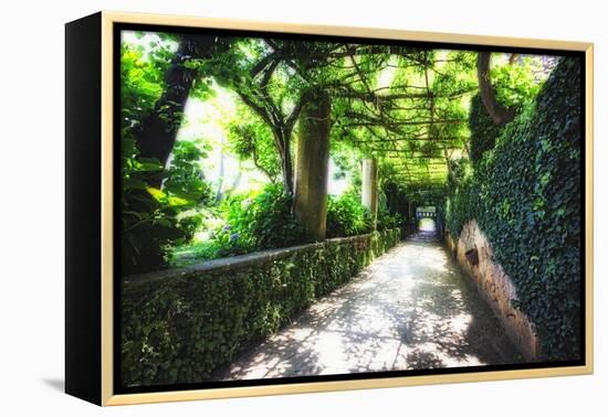 Arbor Path, Ravello, Italy-George Oze-Framed Premier Image Canvas