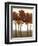 Arboreal Grove I-Norman Wyatt Jr.-Framed Art Print