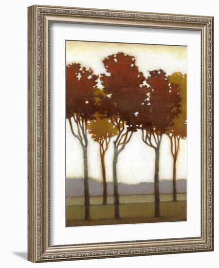 Arboreal Grove I-Norman Wyatt Jr.-Framed Art Print