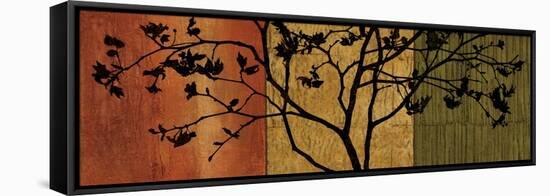 Arboreal II-Chris Donovan-Framed Stretched Canvas