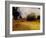 Arboretum-2-Lou Wall-Framed Giclee Print