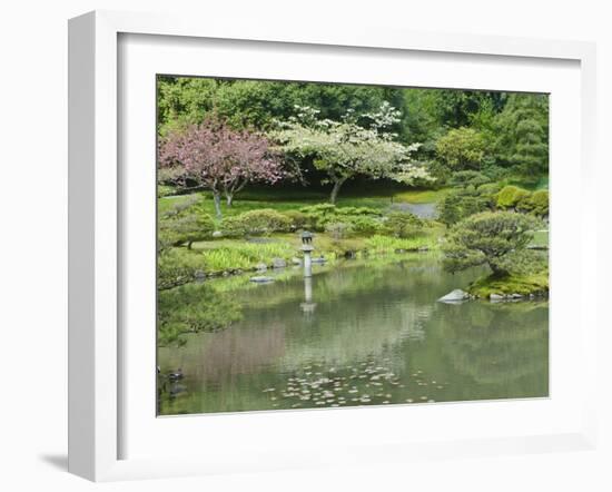 Arboretum, Japanese Garden, Arboretum, Seattle, Washington, Usa-Rob Tilley-Framed Photographic Print