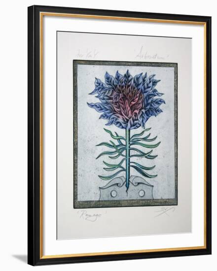 Arboretum - Ramage-Tighe O'Donoghue-Framed Collectable Print
