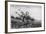 Arbre a Corbeaux, 1840-1875-Charles François Daubigny-Framed Giclee Print