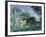 Arbres au Jas de Bouffan, c.1875-6-Paul C?zanne-Framed Giclee Print