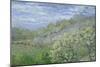 Arbres En Fleurs-Claude Monet-Mounted Giclee Print