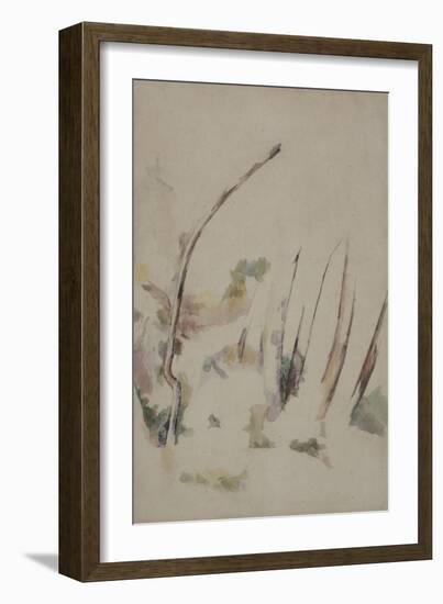 Arbres-Paul Cézanne-Framed Giclee Print