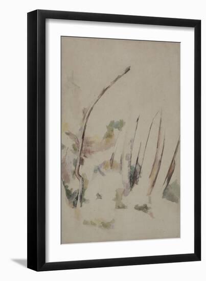 Arbres-Paul Cézanne-Framed Giclee Print