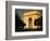 Arc De Triomphe at Dusk, Paris, France-Brent Winebrenner-Framed Photographic Print