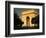 Arc De Triomphe at Dusk, Paris, France-Brent Winebrenner-Framed Photographic Print