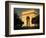 Arc De Triomphe at Dusk, Paris, France-Brent Winebrenner-Framed Photographic Print