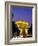 Arc de Triomphe, Night View, Paris, France-Steve Vidler-Framed Photographic Print