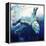 Arc Of The Diver-Mark Adlington-Framed Premier Image Canvas
