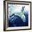 Arc Of The Diver-Mark Adlington-Framed Giclee Print