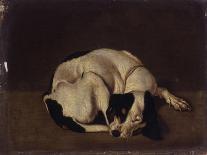 Sleeping Dog-Arcangelo Resani-Framed Art Print