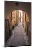 Arch and cobblestone alley in historic Gamla Stan, Stockholm, Sweden, Scandinavia, Europe-Jon Reaves-Mounted Photographic Print