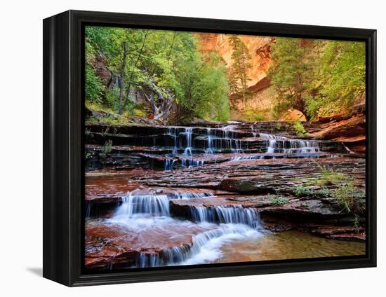 Arch Angel Falls, Near The Subway In The Back Country Of Zion National Park, Utah-Austin Cronnelly-Framed Premier Image Canvas