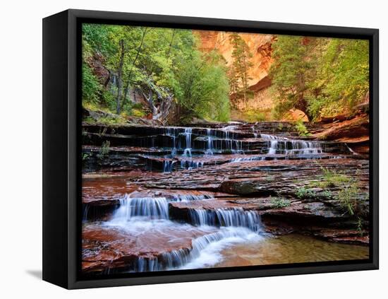 Arch Angel Falls, Near The Subway In The Back Country Of Zion National Park, Utah-Austin Cronnelly-Framed Premier Image Canvas