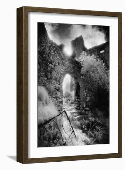 Arch, Ballynalackan Castle, County Clare, Ireland-Simon Marsden-Framed Giclee Print