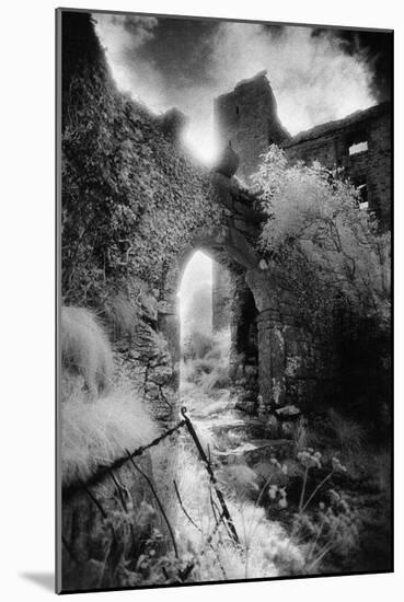 Arch, Ballynalackan Castle, County Clare, Ireland-Simon Marsden-Mounted Giclee Print