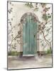 Arch Door with Roses-Aimee Wilson-Mounted Art Print
