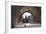 Arch, Fishermans Bastion, Budapest-George Oze-Framed Photographic Print