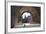 Arch, Fishermans Bastion, Budapest-George Oze-Framed Photographic Print