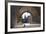 Arch, Fishermans Bastion, Budapest-George Oze-Framed Photographic Print