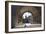 Arch, Fishermans Bastion, Budapest-George Oze-Framed Photographic Print