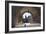 Arch, Fishermans Bastion, Budapest-George Oze-Framed Photographic Print