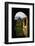 Arch in the Royal Enclosure-Jon Hicks-Framed Photographic Print