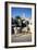 Arch of Marcus Aurelius, Tripoli, Libya, 163 Ad-Vivienne Sharp-Framed Photographic Print