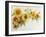 Arch of Sunflowers-Joanne Porter-Framed Giclee Print