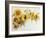 Arch of Sunflowers-Joanne Porter-Framed Giclee Print