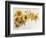 Arch of Sunflowers-Joanne Porter-Framed Giclee Print