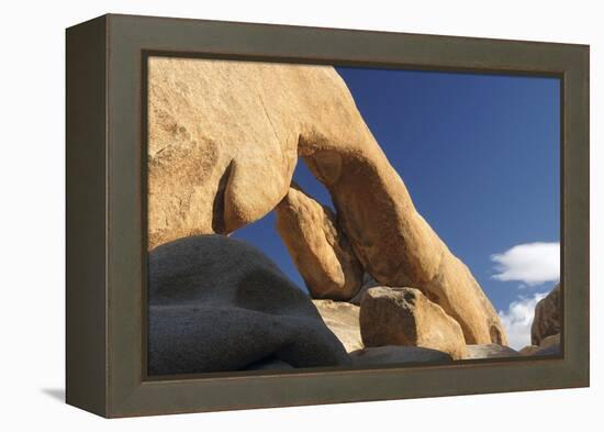 Arch Rock, Arch Rock Trail, Joshua Tree National Park, California, USA-Michel Hersen-Framed Premier Image Canvas